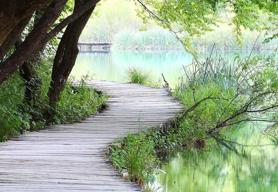 Steg am See